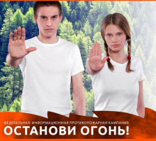 Останови огонь! Останови огонь!.